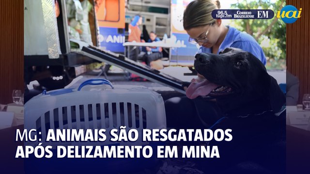 Animais são resgatados após deslizamento em mina no interior de Minas