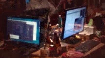 Silicon Valley Season 4 Episode 2 Terms Of Service