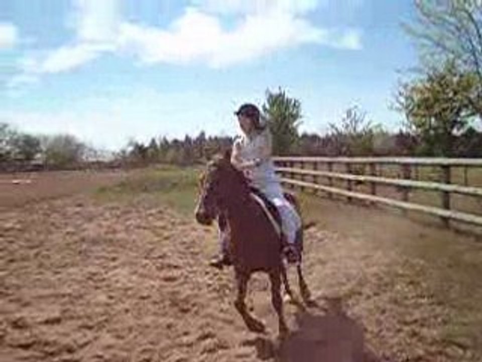 moi sur Gazelle au trot