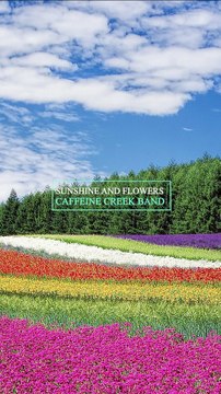 ✅💘Música instrumental relaxante para estudar concentração memorização- Fragmentos $16