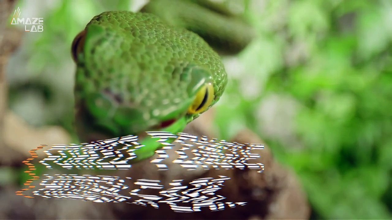 This Invisible Ears on Snakes Are Critical for Their Survival!