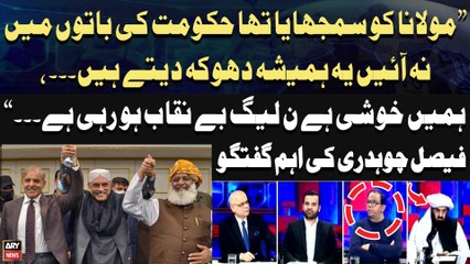 "Humein Khushi Hai Kay PMLN Be-Naqab Horahi Hai...", Faisal Chaudhry's Big Statement