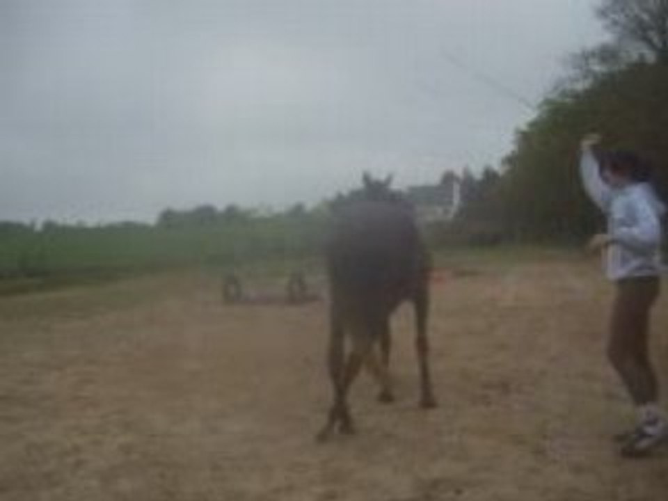 Onyx le 27 avril