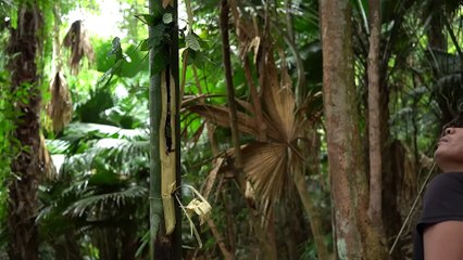 EP.313 - Abrigo noturno em caverna, comida selvagem, pescar e cozinhar