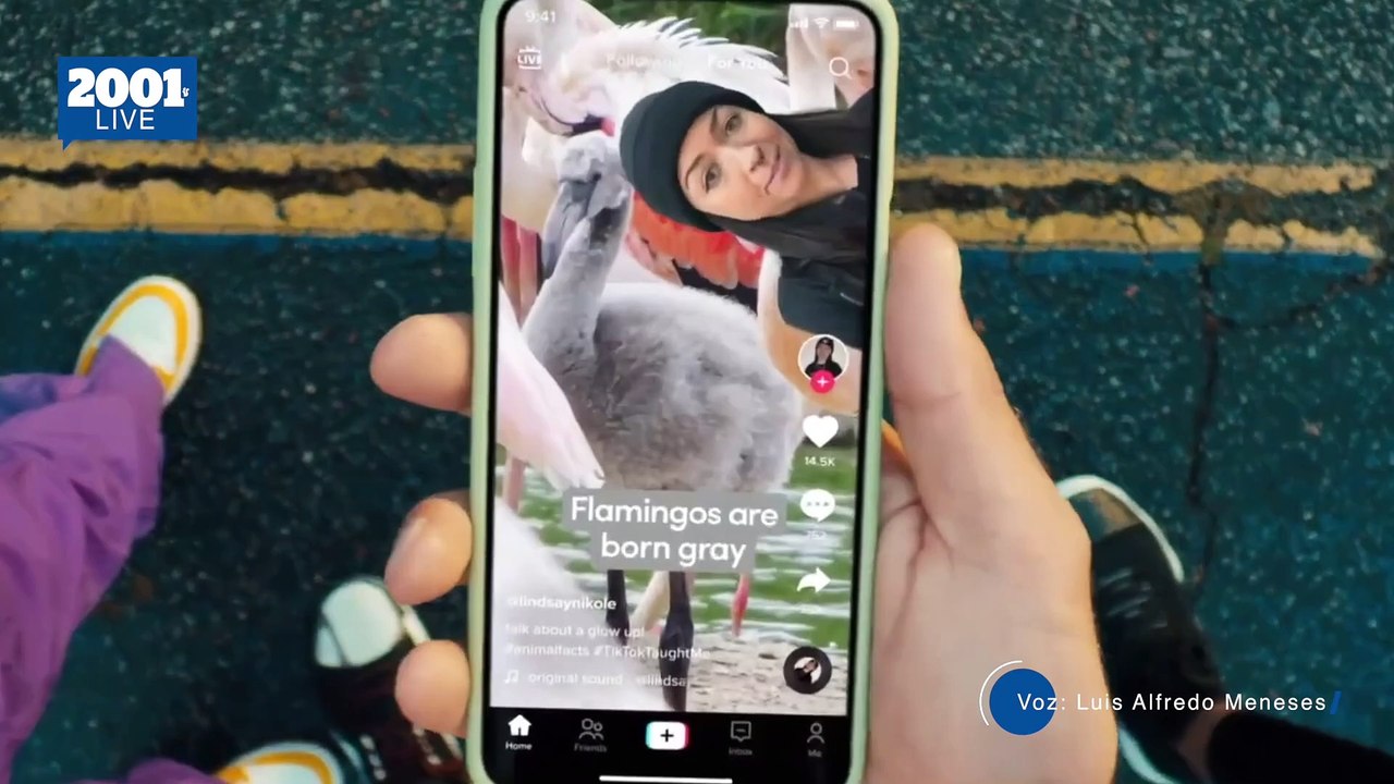 TikTok podría dejar de operar en EEUU para el 2025