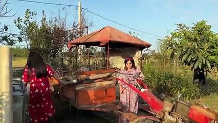 صفات البدوي الأصيلCharacteristics of an authentic Bedouin