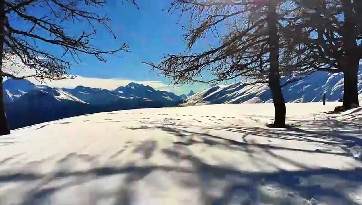 WE WISH YOU A MERRY CHRISTMAS