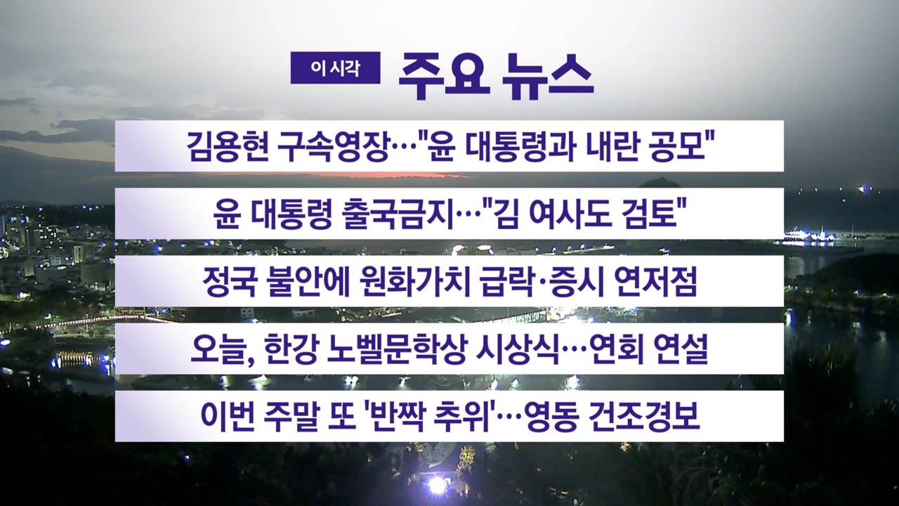 [YTN 실시간뉴스] 김용현 구속영장..."윤 대통령과 내란 공모" / YTN