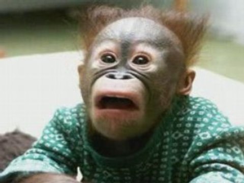 Unique Article Wizard: Quick Free Traffic SEO Explosion