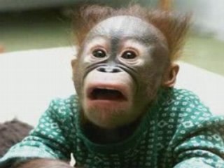 Unique Article Wizard: Quick Free Traffic SEO Explosion