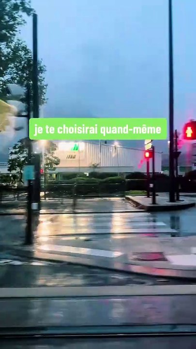 Je n'en aimerai jamais un autre comme je t'aime et je n'ai pas besoin de raison