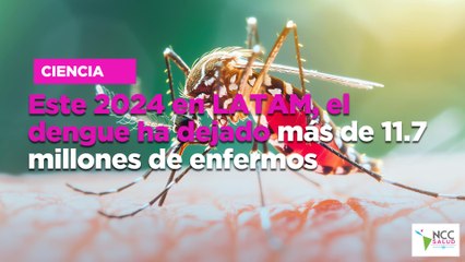 Este 2024 en LATAM, el dengue ha dejado más de 11.7 millones de enfermos