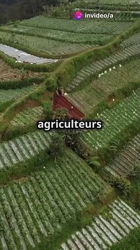 Les glaciers faits maison des paysans himalayens