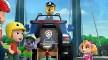 PAW Patrol Deutsch - Helfer auf vier Pfoten - Der Boxenstopp  Schneller als die