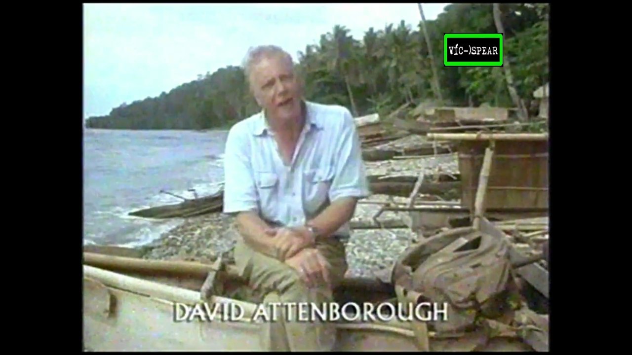 Attenborough en el Paraíso - Documental (1996) - Español Latino