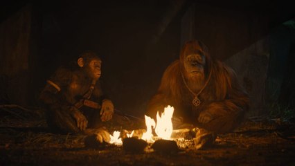 La Planète des singes : Le nouveau royaume
