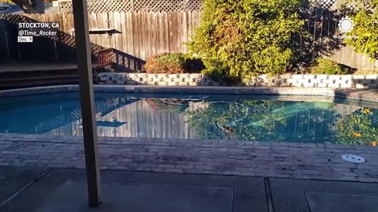 Pool in California shakes as a magnitude 5.5 earthquake rattles Nevada