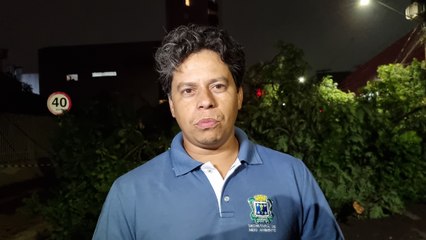 Sema vai verificar a possibilidade de ressarcir quem foi lesado após queda de árvore