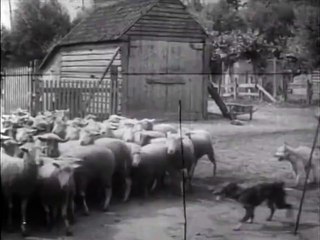 Les Chiens et ses services (1907) The Dog and His Various Merits (Pathé)