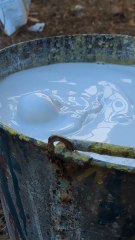 Calcium carbonate (Chuna)