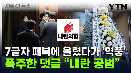 "내란의힘 아니냐" 유탄 맞은 국민의힘...폭발한 댓글에 탱크까지 등장 [지금이뉴스] / YTN