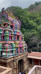 #ahobilam #temple #youtubeshorts #youtube #nature #forest #hills