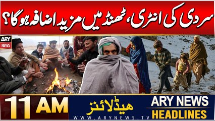 ARY News 11 AM Headlines | 10th Dec 2024 | Weather Updates