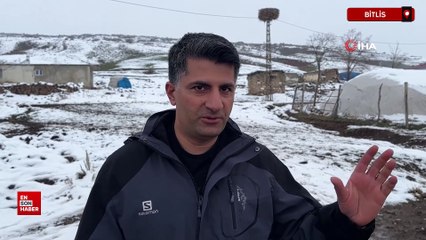Bitlis'te bulunan leylek, havaların soğumasına rağmen göç etmiyor