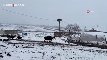 Havaların soğumasına rağmen yıllardır göç etmeyen leylek köylüleri şaşırtıyor