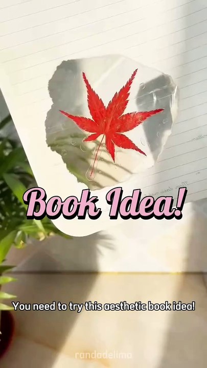 DIY Aesthetic Book: Simple and Creative Idea!