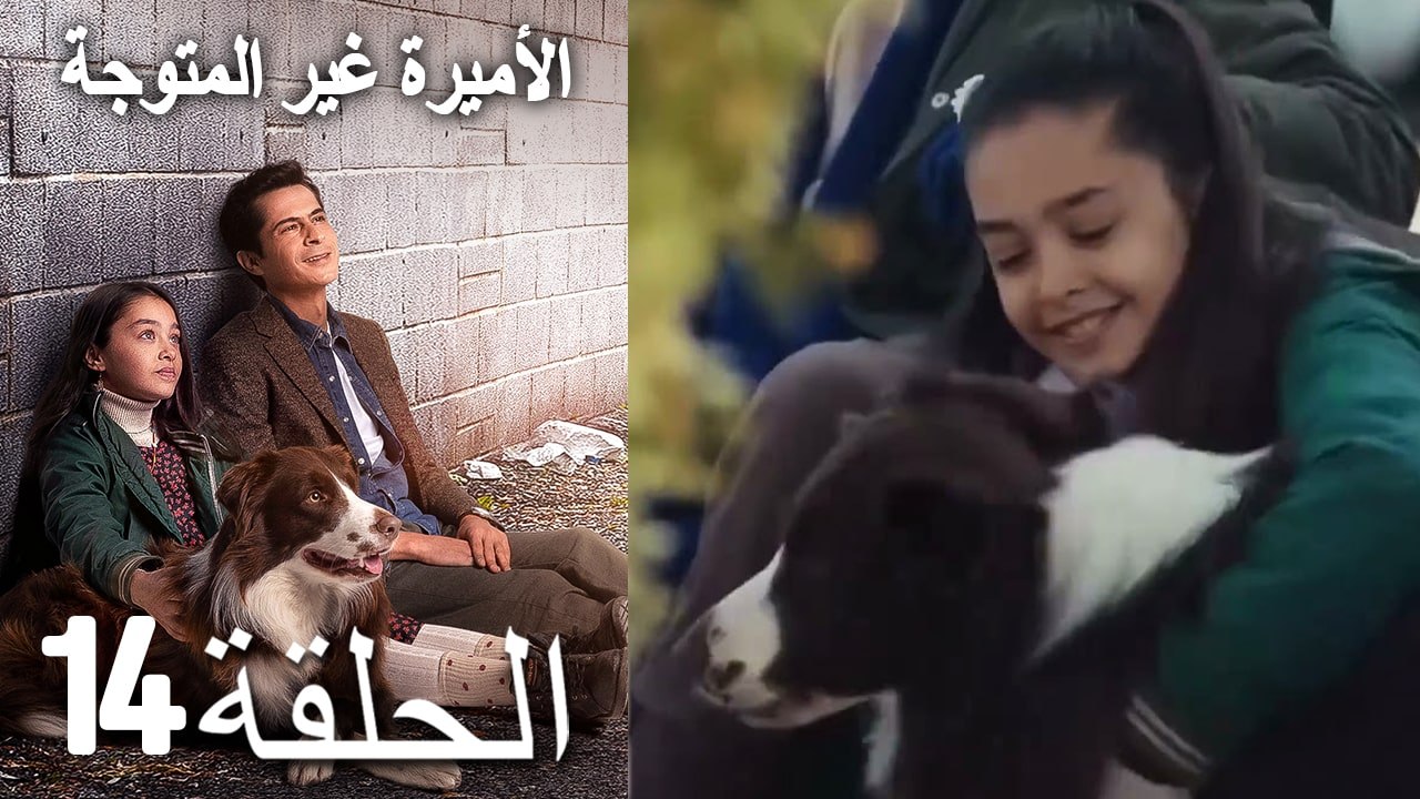 الأميرة غير المتوجة 14 (Arabic Dubbed)