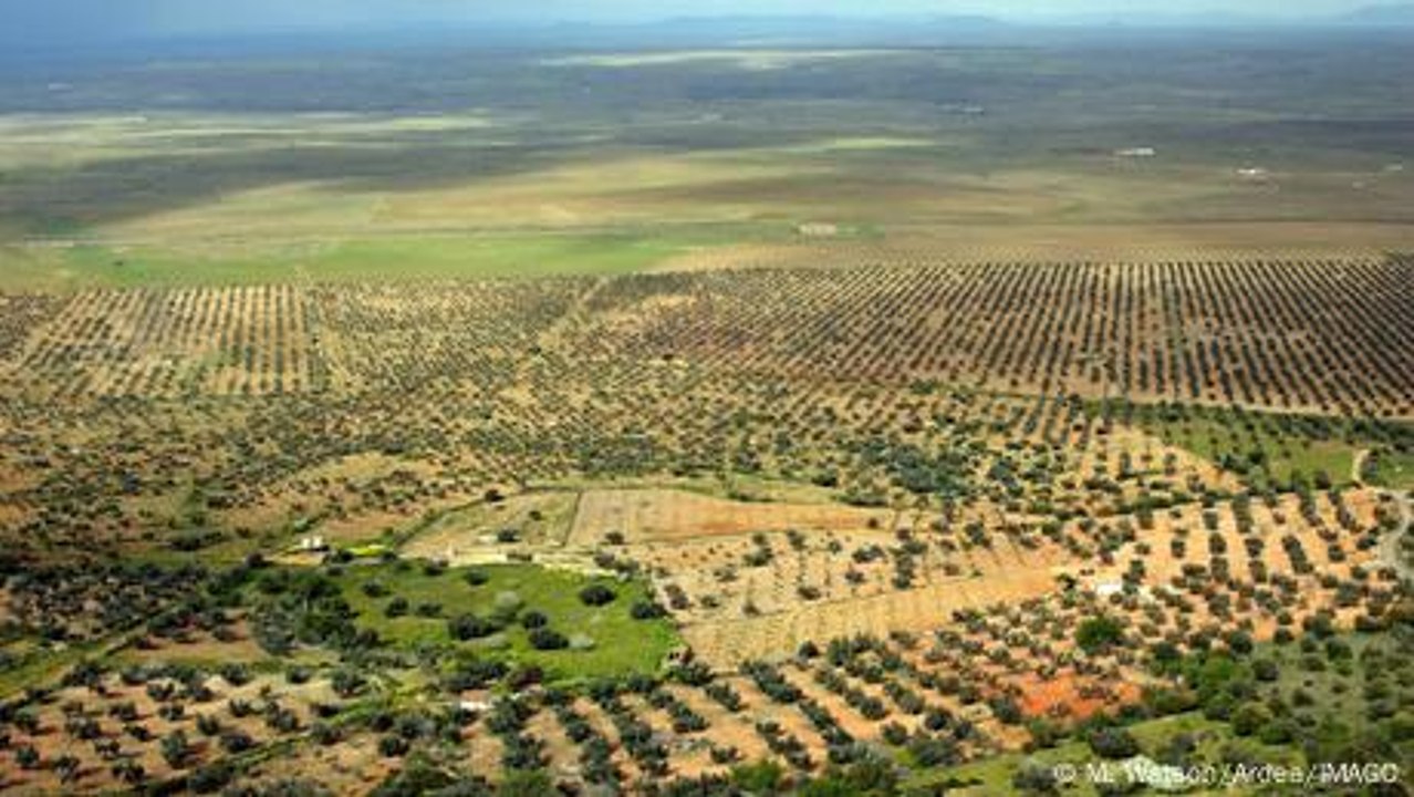 Spanien: Bis zu 15.000 Euro für digitale Nomaden