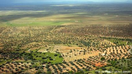 Spanien: Bis zu 15.000 Euro für digitale Nomaden