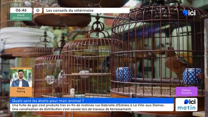 10/12/2024 - ICI Matin France Bleu Touraine