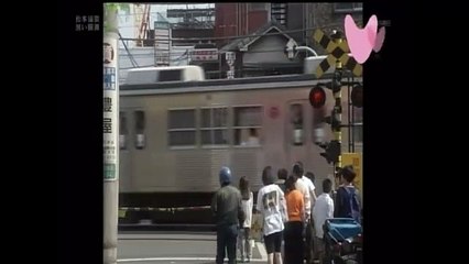 1997年放送の松本清張ドラマ『黒い樹海』を徹底解説🌲