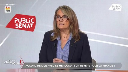 « Ne pas lâcher » : Sophie Primas espère toujours réunir une minorité de blocage contre le Mercosur