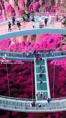 GLASS BRIDGE 🌉 OF CHINA 🇨🇳.