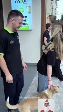 If you laugh you restart 😂😂 #viral #shorts #fails #funny #fail