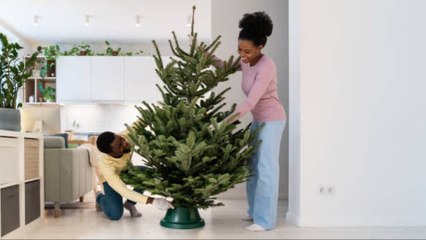 Cómo Hacer Que Tu Árbol De Navidad Natural Dure Más