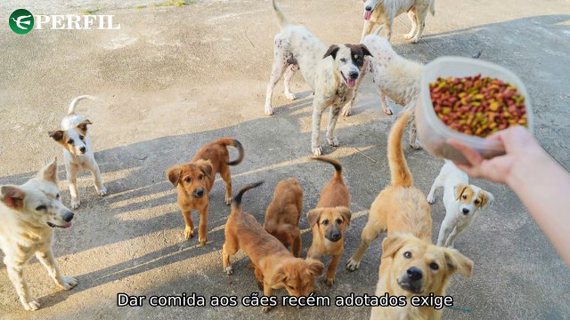 Polêmica sobre filme de Maria, horário de alimentação dos cães e orações para Nossa Senhora da Conceição