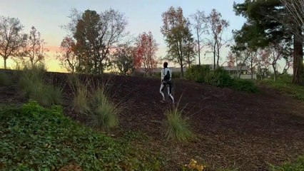 "Caminhada para limpar a cabeça". Eis o novo vídeo do robô da Tesla