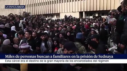 prision de Siria liberada