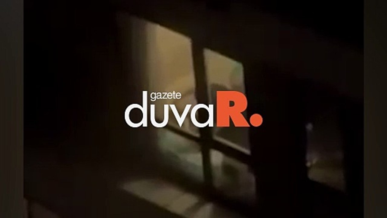 Kediye işkence davası: Bilirkişi tespit etti, mahkeme 'yok' dedi