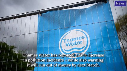 National World Top Stories Update 10 December, 2024