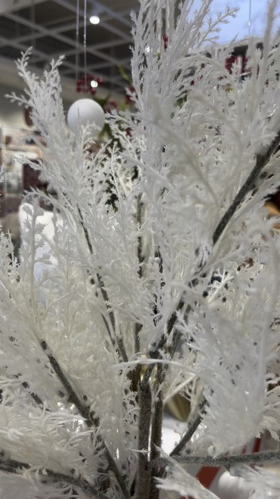 İşte en yeni videom