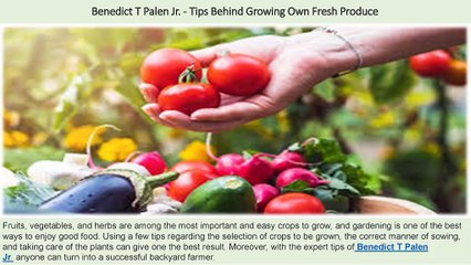 Benedict T Palen Jr. - Tips Behind Growing Own Fresh Produce