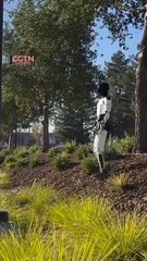 Tesla’s Optimus Robot: More human than we thought?