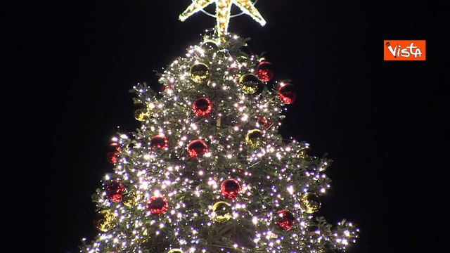 Natale 2024, l'albero di Roma allestito a Piazza del Popolo