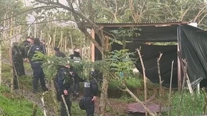 tn7-allanamientos-turrialba-101224