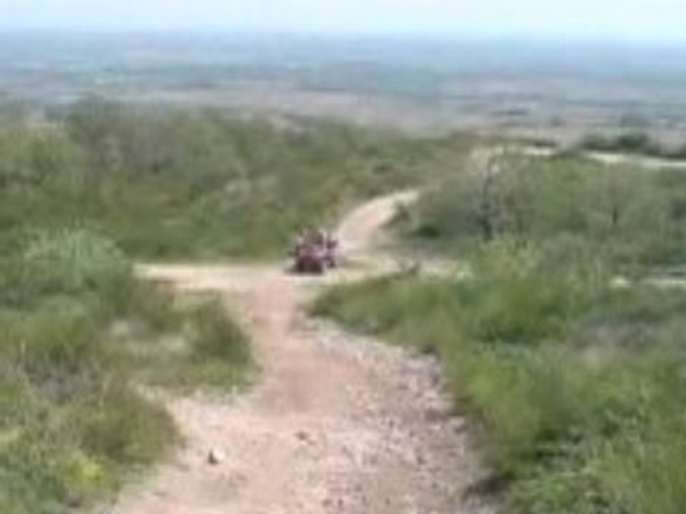 Sortie quad cross crash lol